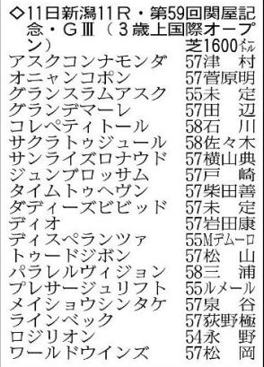 【関屋記念展望】今年のアーリントンＣ覇者ディスペランツァが中心