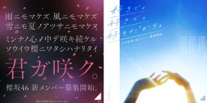 櫻坂46と日向坂46が新メンバーオーディションを同時開催、審査スケジュールは異なり併願可能