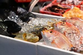 あのウコン飲料に鮮魚販売、学習塾も…知られざる旧統一教会系企業のビジネス展開「日本は教団が世界で保有する富の最大の資金源」との声も