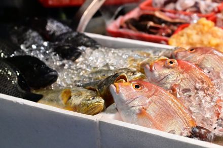 あのウコン飲料に鮮魚販売、学習塾も…知られざる旧統一教会系企業のビジネス展開「日本は教団が世界で保有する富の最大の資金源」との声も