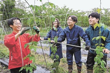 飯舘ホップで名物ビール　東大生ら休耕地に栽培　福島市で醸造　１０月観光施設などで販売