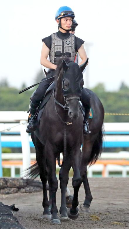 【関屋記念・松末の特注馬】スムーズな競馬さえできれば３歳の素質馬ロジリオンが反撃