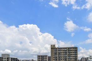 青空の下で干された「鳥に狙われそうなもの」に目を疑う　あまりにもシュールな光景が話題に