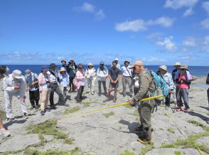 隆起サンゴ礁の島には宝がいっぱい　喜界島　住民が身近な希少植物学ぶ