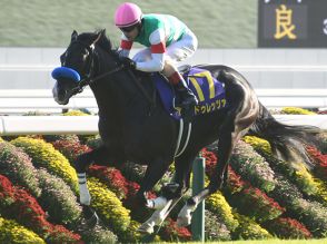 英G1・インターナショナルSの馬券発売が決定 日本からドゥレッツァが参戦予定