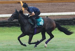 友道厩舎の期待馬カムニャックが11日中京でデビュー予定