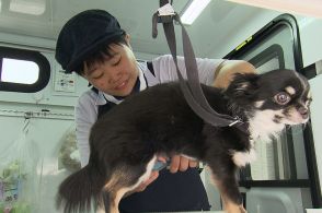 能登半島でも活躍！ 大人気の「移動型トリミングサロン」どんな犬にも懐かれる女性トリマーの原点とは？