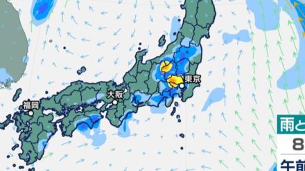 東日本と西日本で大雨おそれ　あすも午後中心に積乱雲が発達する見込み【雨シミュレーション5日（月）～10日（土）】