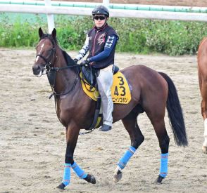 【関屋記念・先手必勝】高配の使者は「北」からやって来る？　オニャンコポン激走の〝状況証拠〟をキャッチ！