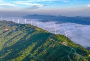 中国のグリーン電力取引、2024年に著しい成長