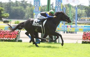 【若駒ピカイチ】３億円馬ジェゼロ　際立つ末脚