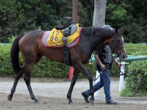 【関屋記念】マイル戦でもプレサージュリフトが好勝負