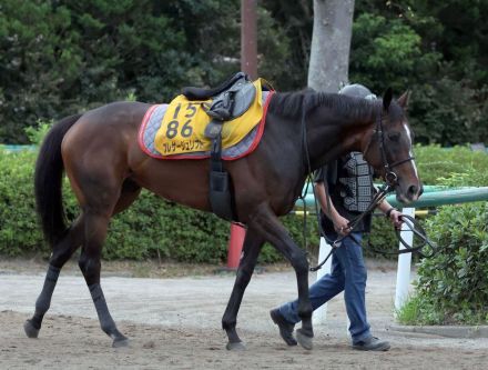 【関屋記念】マイル戦でもプレサージュリフトが好勝負