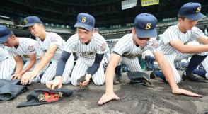 甲子園の代名詞の一つは「土」　季節によって配合も工夫