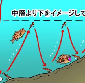 夏が旬の大型高級魚「魚食性ハタ」狙いに最適な激釣れジグヘッド！