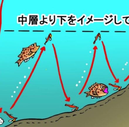 夏が旬の大型高級魚「魚食性ハタ」狙いに最適な激釣れジグヘッド！