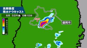 盛岡で記録的短時間大雨情報　１時間に約１００ｍｍ　８日にかけ激しい雨に警戒　岩手県