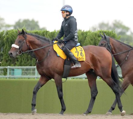 【関屋記念】パラレルヴィジョンは左回りも問題なし「特に回りでどうこうはない。乗りづらい馬でもない」