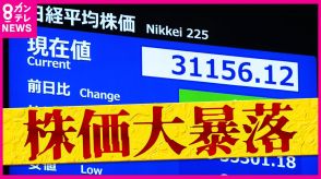 歴史的株価暴落から一転“過去最大上げ幅”　「先行きが見通せない」と専門家　不安定な値動き続くか