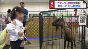 涼しい室内で動物と触れあい　ファボーレで「体感ふれい動物園」　ヘビとの記念撮影や世界のネコ　富山