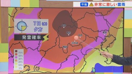 7日はきょうと同じように午後に非常に激しい雷雨のおそれ　気象予報士が解説　山梨　【天気】