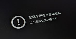 フワちゃん出演のCM、Googleが非公開に　Pixelの「消しゴムマジック」など紹介