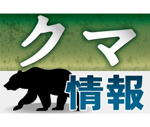 浜田市野原町で体長約１ｍのクマ目撃　浜田道路付近の市道竹迫野原線を横断　島根県