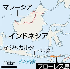 身長約１メートル、最小の人類を確認　インドネシアの孤島、東京大など化石を分析