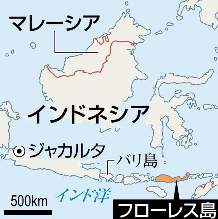 身長約１メートル、最小の人類を確認　インドネシアの孤島、東京大など化石を分析