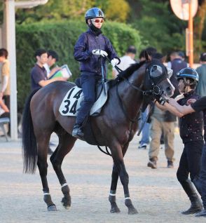 【関屋記念】トゥードジボン　越後路でも逃走！夏のマイル王へ精神面不安なし