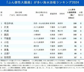 「ふん便性大腸菌」が多い海水浴場ランキング2024、ワースト1位はサーフィンで人気のビーチ