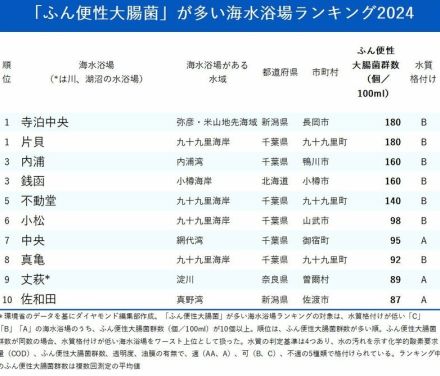 「ふん便性大腸菌」が多い海水浴場ランキング2024、ワースト1位はサーフィンで人気のビーチ