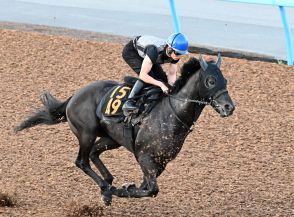 ロジリオン、初コンビ永野騎手が北海道から駆けつけ調教　古賀師「いい脚が使えれば」／関屋記念