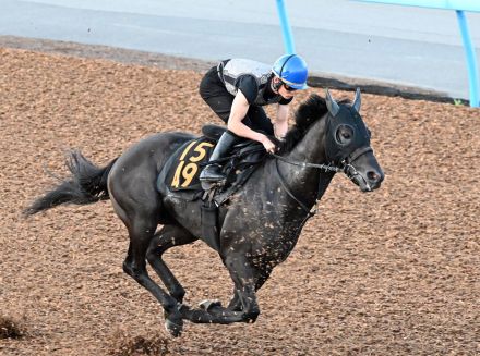 ロジリオン、初コンビ永野騎手が北海道から駆けつけ調教　古賀師「いい脚が使えれば」／関屋記念