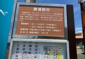 「猛暑日ゼロ」の勝浦、7月下旬に訪れた正直な感想、東京駅から1時間半、8月最高気温の平年値は29.0度