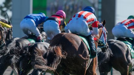 競馬で“万馬券”を当てたギャンブラーのうち「払戻金を申告していない人」は8割…国が課税強化→「税務署にバレる」3つの原因【税理士・公認会計士が解説】