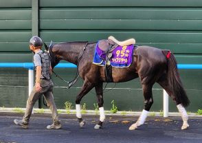 【札幌記念】シャフリヤールは武豊騎手とコンビ　オファー受け「『エッ』と」驚くも「結果で返したい」