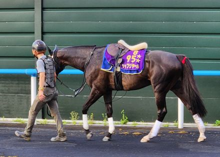 【札幌記念】シャフリヤールは武豊騎手とコンビ　オファー受け「『エッ』と」驚くも「結果で返したい」