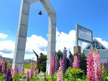 北海道の涼夏を満喫!  「キロロ＆小樽」でアクティブ旅