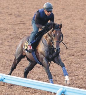 【小倉記念】シリウスコルト、今度こそタイトル　追い切りでの好反応に宗像師「うまくガスが抜けた感じ」