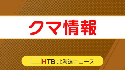 北海道「クマ出没」相次ぐ　千歳市では道路を横断するクマ１頭目撃　JR南千歳駅から約１キロ離れた場所