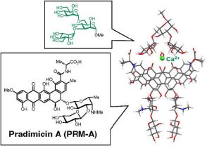 放線菌がつくる天然物質、新型コロナウイルスの感染抑制 名大など変異株の新薬開発に期待