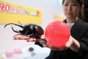 史上最大ソフトボールサイズのガシャポン登場　ほぼ実寸で世界最大カブトムシも再現可能に