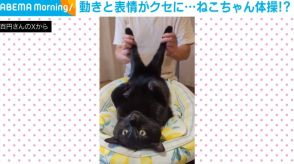 にゃんておとなしい!! 黒猫が“されるがまま”不思議な踊りをする姿が「顔がww」「まんざらでもなさそう」と話題