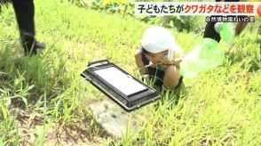 夏休みの子どもたちが『クワガタなどの昆虫を観察』…富山市・自然博物園ねいの里で自然体験会