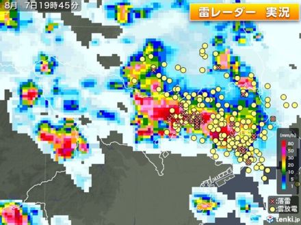 埼玉で猛烈な雨　東京23区でもゲリラ雷雨　帰宅ラッシュを直撃　停電への備えとは