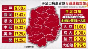 手足口病患者数　８週連続増加　岩手県全地域で警報レベルを超える