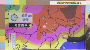 8日の午後は落雷や滝のような雨に要注意　熱帯低気圧が台風5号に　気象予報士が解説　山梨　【天気】