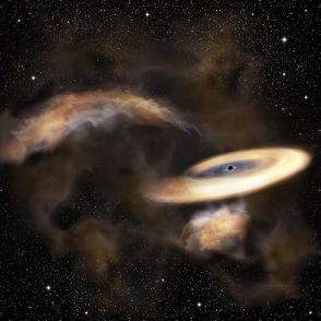 球状星団での中間質量ブラックホールの誕生をスパコンで予測