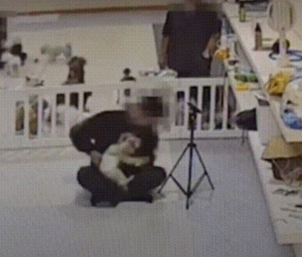 「10歳プードル、80キロ男性に14分制圧され歯が抜ける」…韓国・愛犬幼稚園「しつけ」